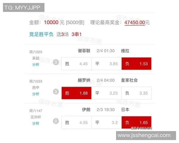 亚洲足球赔率分析及其对赛事结果的影响探讨与预测
